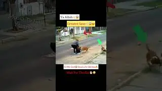 MashAllah ☝️😇 Greatest Save 😍 