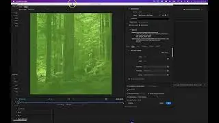 Exporting .mp4 videos with Media Encoder