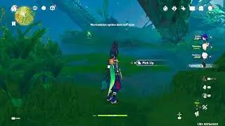 Genshin Impact Sumeru Map Glitch: Is This a Minor Bug You Should Know About?