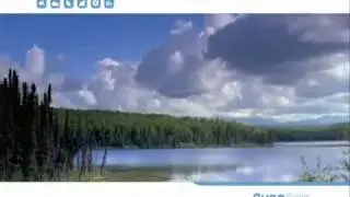 PureOne