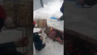 Зимний шашлык. Из курятины
