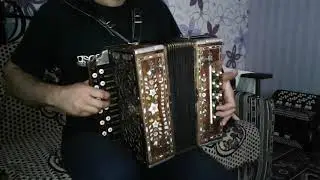 Гармонь гармошка  Любительская Сердюк