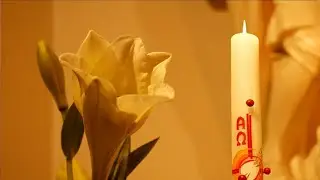Saludos de Pascua 2020