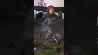 Gotta Be The Easiest Boss So Far