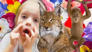 Настя в мини зоопарке. часть 1 Настя играет с животными. Это влог про животных.