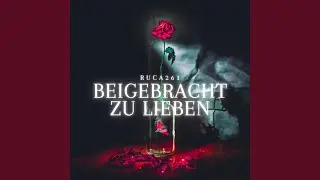 Beigebracht zu lieben