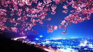 Arzi - Luminary (Original Mix)