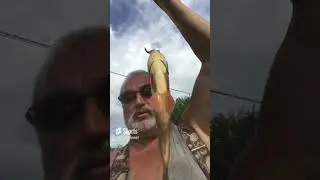 KILLER FISH 007 !!! TAGANKA 2023 !!! #fishing #commoncarp #carpworld #freshwaterfish #carpfish #fish