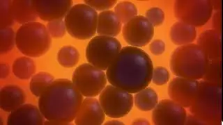 Analytical Foam Animation