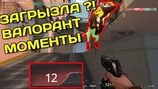 Очень странные дела в Valorant