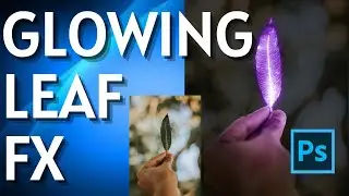 How to Make Glow Effect on Leaf in Photoshop