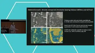 Epigenomics of Common Diseases 2023 | Keynote by Susan Gasser, Friedrich Miescher Institute