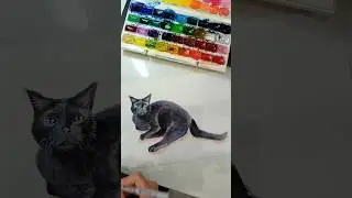 турецкий котик #акварель #art #painting #sketch #рисование #творчество #турция #кот #животные #music