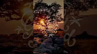 ATTLAS x Mango x MAYLYN - The One 