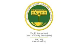 Animazione Logo ONAOO