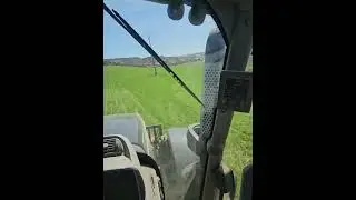 Pasando el rodillo a los trigos