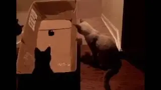 Эх, прокачу!!!!