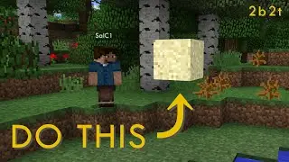 Do This Before 2b2t Updates to 1.16