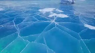 Pictures of Frozen Things
