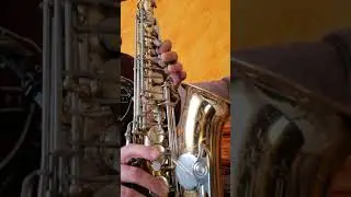 TUTORIAL SAXOFON - HORA MOLDOVENEASCA RE MINOR
