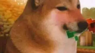 Tamo en vivo :v