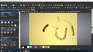 pressione tavoletta artcam