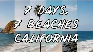 7 Days in the Ocean 2025 Edition - SoCal