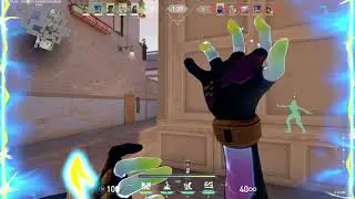 t r a n s p a r e n t