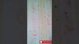 демонтаж кухни с квартирантами))))))