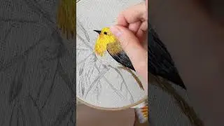 Птичка вышивка гладью - как вышить птичку 