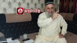 хурдани гушти мург чоиз нест