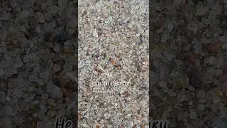 Секретные правила для успешной жизни