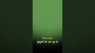 Sun Pagli | Meri Zindgi Ho | Green Screen Full | 
