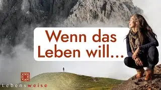 Wie findest du wirkliche Erfüllung in deinem Leben?
