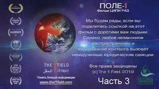 ЕДИНОЕ ПОЛЕ — революционный документальный фильм о сознании. ПРЕМЬЕРА! Часть 3. Режиссер: Ципи Раз