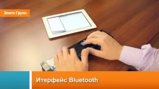 Дисплей Брайля Focus 40 Blue