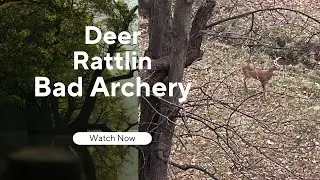 First Archery kill of 2023!  Bad shot, but deer down!