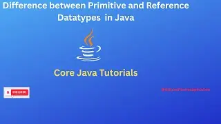 Difference Between Primitive and Reference Datattype