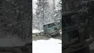 шишига 