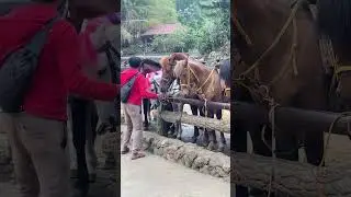 Baguio horseback riding