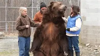 Unbelievable: Family Lives With Giant Bear At Home