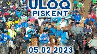 Uloq ko'pkari piskent 05.02.2023 #2023 TOSHKENT MAXMUD XOJI AKA KO'PKARISI