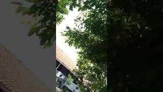 Petualangan Egidia temani Adek Gantengku jalan-jalan naik Jeep Car Kid