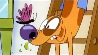 Butterfly Makes Nostril Flaring Dog Sneeze!
