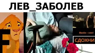 КАРИНА ШПАК НАЗНАЧИЛА ДИЕТУ И ГИГИЕНУ ДЛЯ ВАНОМАСА