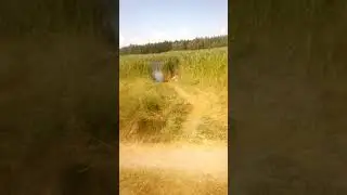 Вiдпочинок не тiльки на морi в Херсонi
