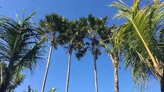 Нуса-Дуа для туриста. БАЛИ. Индонезия 🇮🇩.