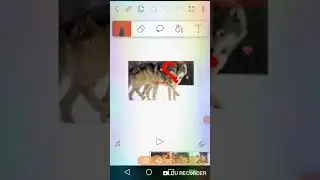 Стая лисиц x Стая волковWC