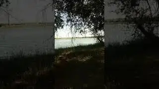 перед бильбасаром