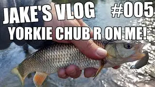 Jakes Vlog #005 - Lure Fishing for Yorkshire Chub...with Graham